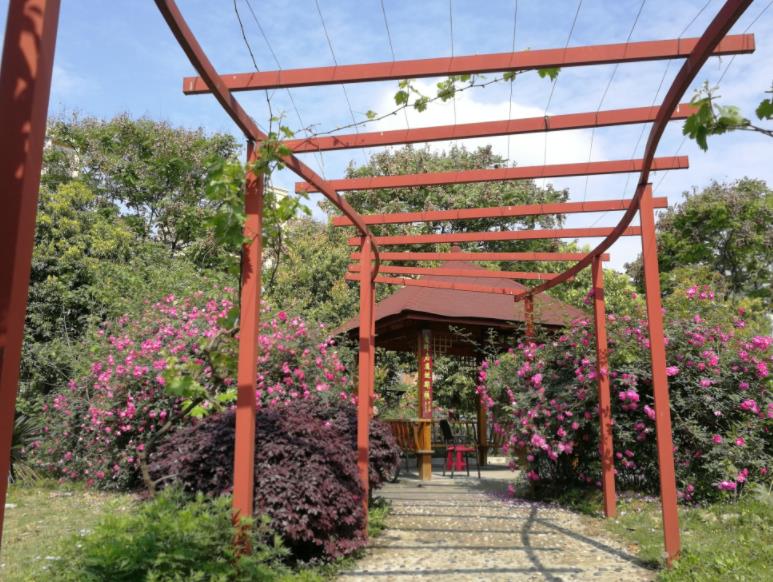 【四川】某市综合社会福利中心-1 【四川】某市综合社会福利中心-1